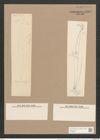 Pleurosigma angulatum strigosum (Queck.) W.Sm. (de-Toni-Nr.: Genus 13, Species 1001) Zeichnungen Sammlung Grunow Nr. 2029 (NHMW-BOT-W0368881)